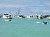 Galapagos 5-1-01 Puerto Ayora Boats In Academy Bay Puerto Ayora is a modern town with a population of over 12,000 people on Santa Cruz Island and is an obligatory stop for all ships so there are many hotels, restaurants, souvenir shops, internet cafes, etc. We were surprised by the hustle and bustle in Academy Bay, with over 50 boats anchored in the bay.